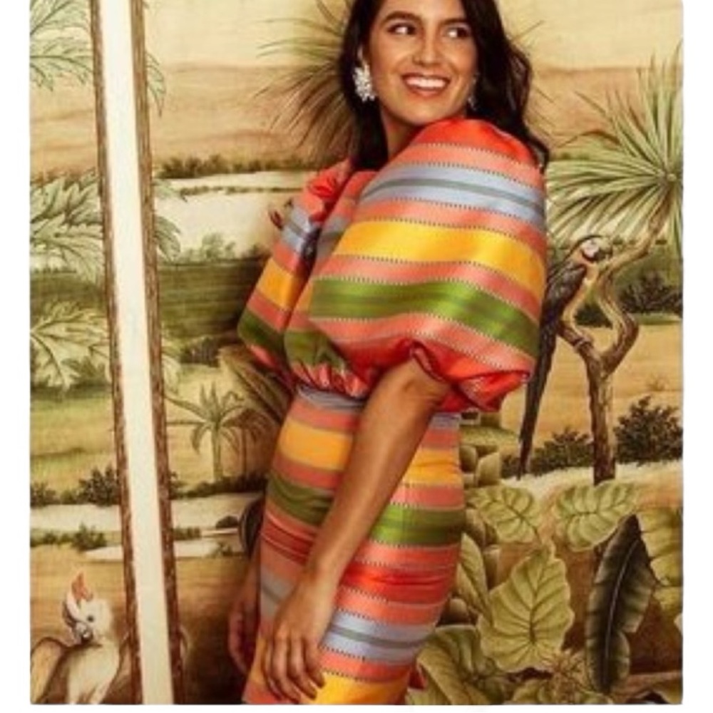 Antonio Melani x The Nat Note Nell Striped Jacquard Puff Sleeve Dress 2 NWT - Picture 5 of 9
